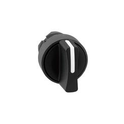 Manopla AP-2 90/01 13017101 - Ace Schmersal