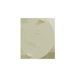 Tampa Para Condulete Pvc Branco 1 Tpib - 20 Wetzel