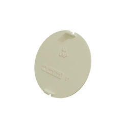 Tampa Para Condulete Pvc Branco 1 Tpib - 20 Wetzel