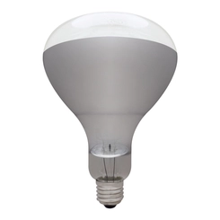 Lâmpada de Secagem 250W x 220V - Empalux