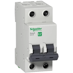 Disjuntor DIN Bifásico Curva C 25A EZ9F33225 - Schneider Electric