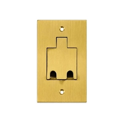 Espelho Latão 2x4 2 RJ45/RJ11 PL42RJ - Stamplac