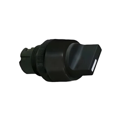 Manopla AP-2 60/01 13040301 - Ace Schmersal