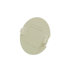 Tampa Para Condulete Pvc Branco 1/2 E 3/4 Tpig - 10/15 Wetzel